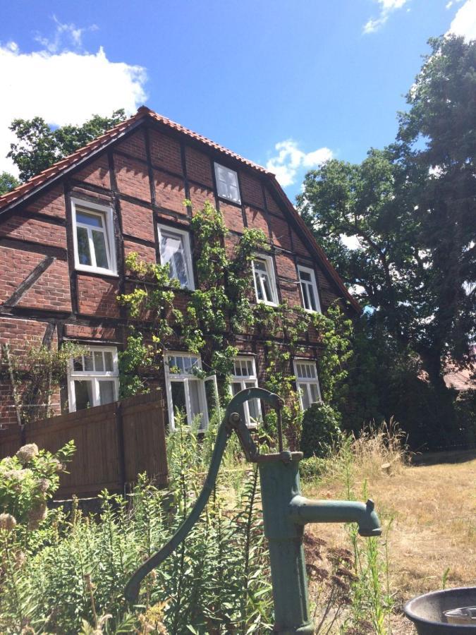 Wendlandhof Lueggau Villa ดานเนินแบร์ก ภายนอก รูปภาพ